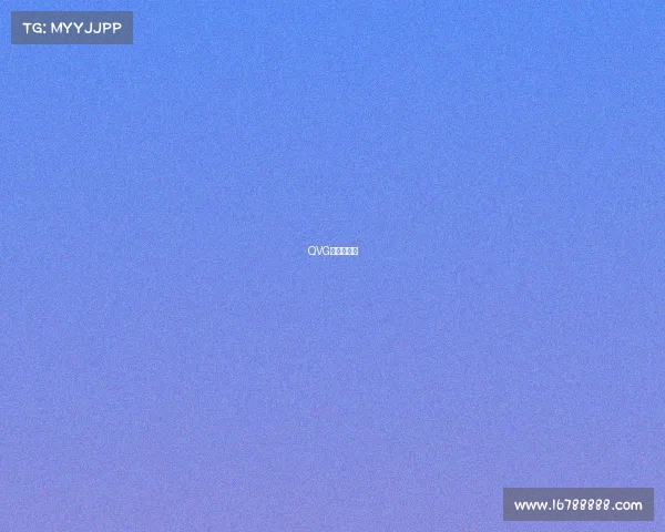 QVG战队新征程 QVG战队新征程